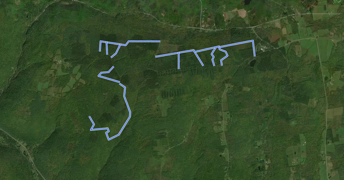 Маршрут Rensselaerville State Forest на спутниковом снимке