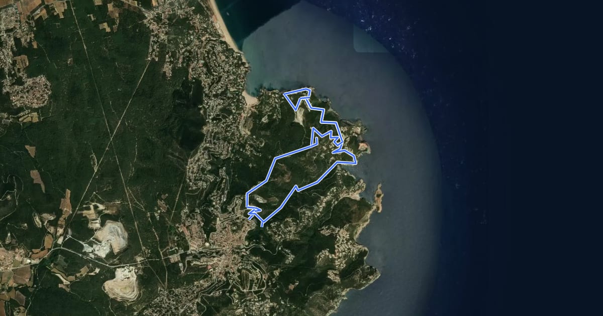 Маршрут reserva marina de Ses Negres на спутниковом снимке