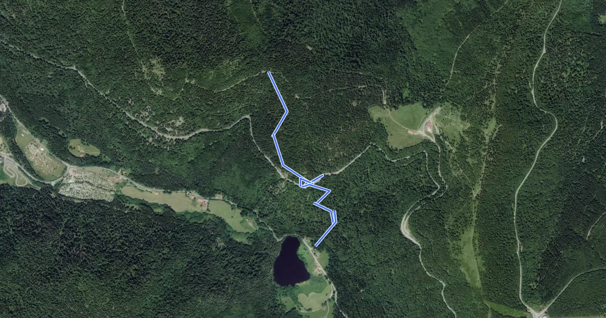 Маршрут Retournemer - Col de Malakoff на спутниковом снимке