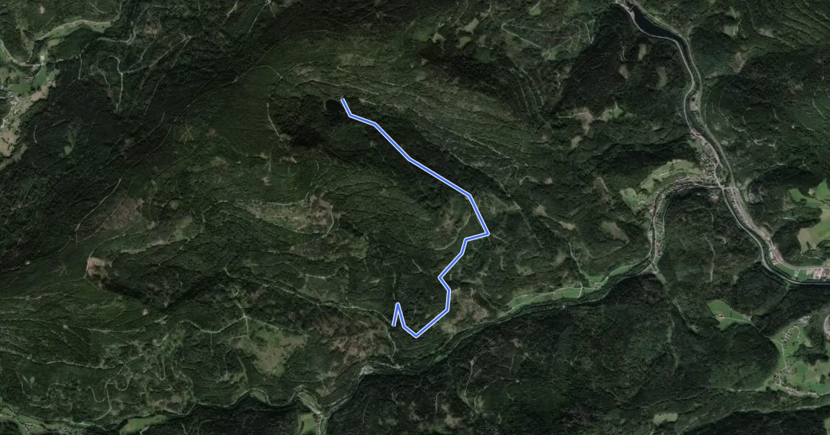 Маршрут Reutenhart - Schurmsee на спутниковом снимке