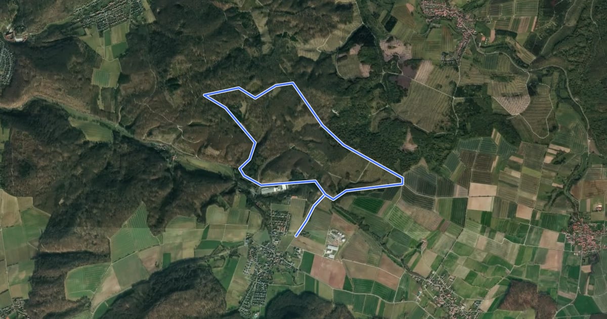 Маршрут Reyershausen 4 на спутниковом снимке