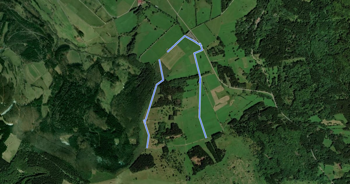 Маршрут Rhön-Rundweg 1 Schwedenwall на спутниковом снимке