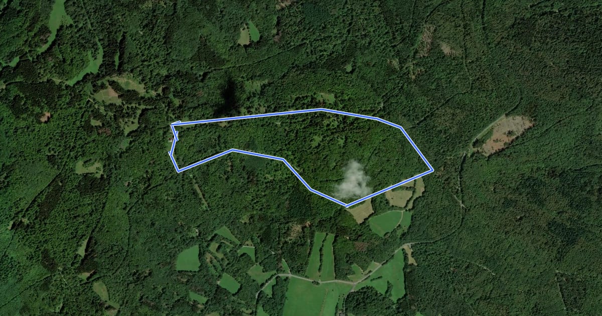 Маршрут Rhön-Rundweg 4 Katzenbuckel на спутниковом снимке