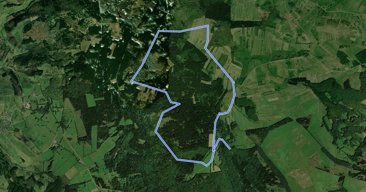 Маршрут Rhön-Rundweg 9 Holzberghof на спутниковом снимке