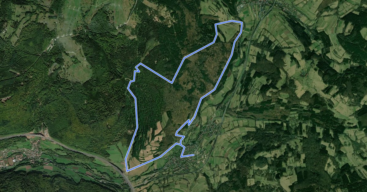 Маршрут Rhön-Rundweg Sinntal 16 на спутниковом снимке