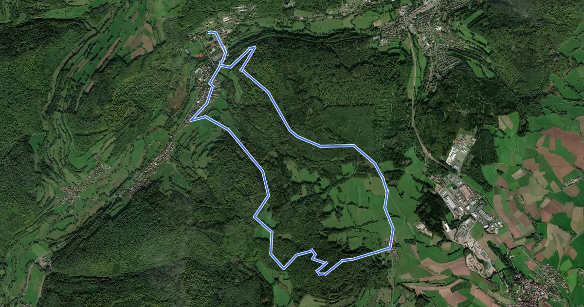 Маршрут Rhön-Rundweg Sinntal 9 на спутниковом снимке