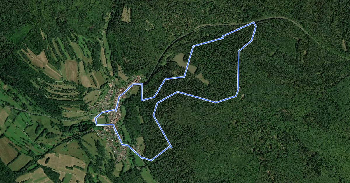 Маршрут Rhön-Rundweg Walddörfer 1 на спутниковом снимке