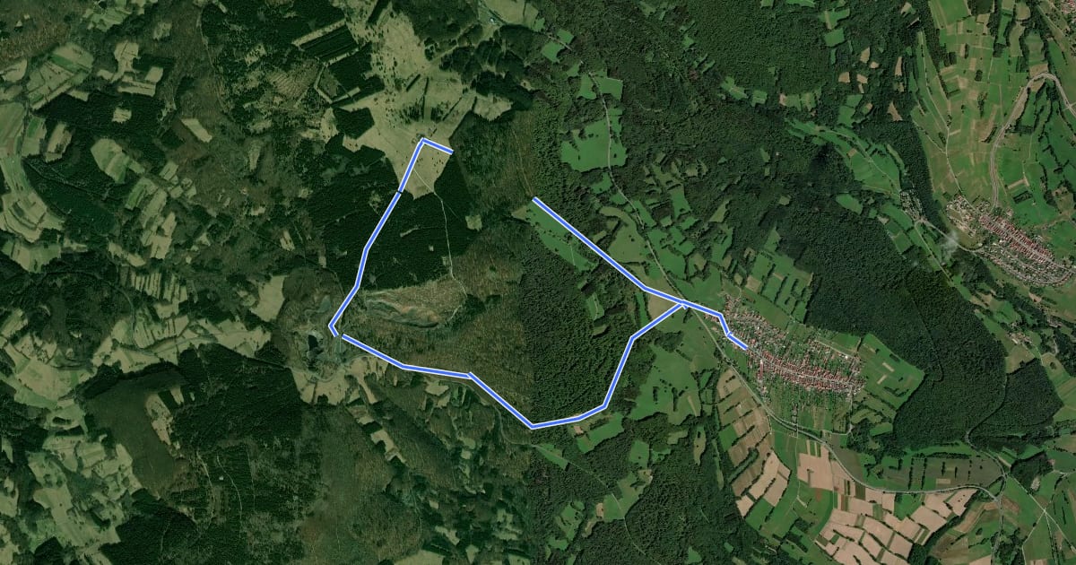 Маршрут Rhön-Rundweg Walddörfer 10 на спутниковом снимке