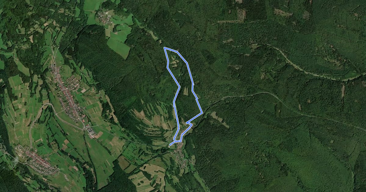 Маршрут Rhön-Rundweg Walddörfer 2 на спутниковом снимке