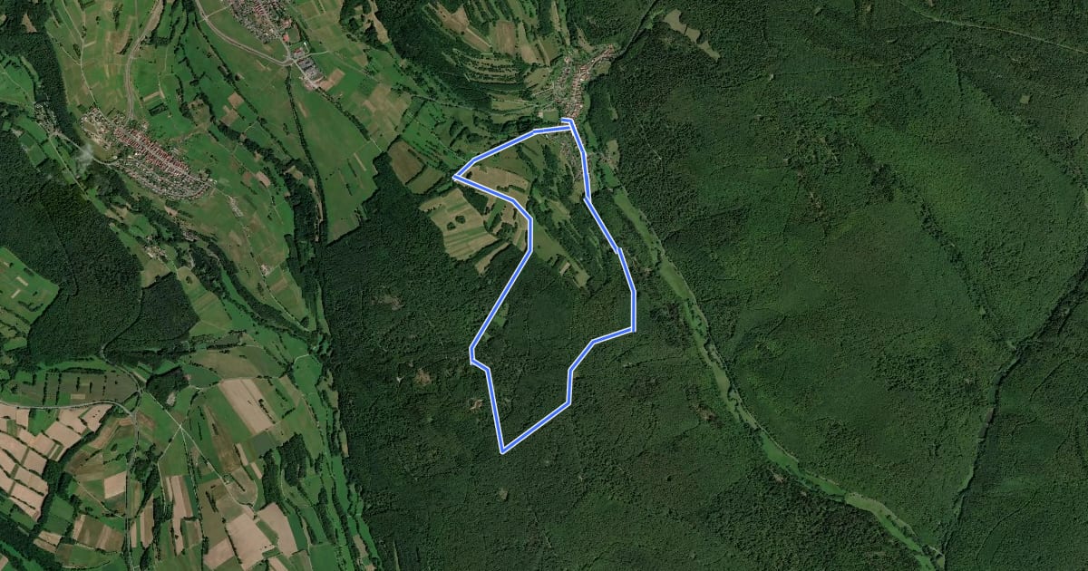 Маршрут Rhön-Rundweg Walddörfer 4 на спутниковом снимке