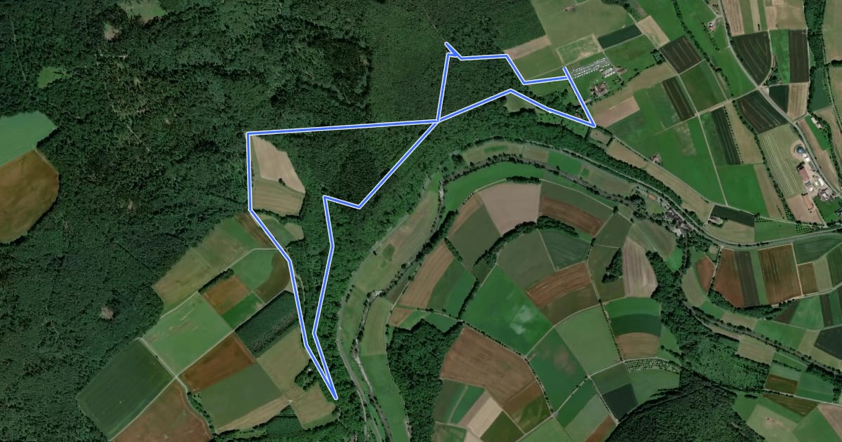 Маршрут Rhönrundweg Hammelburg 11 на спутниковом снимке