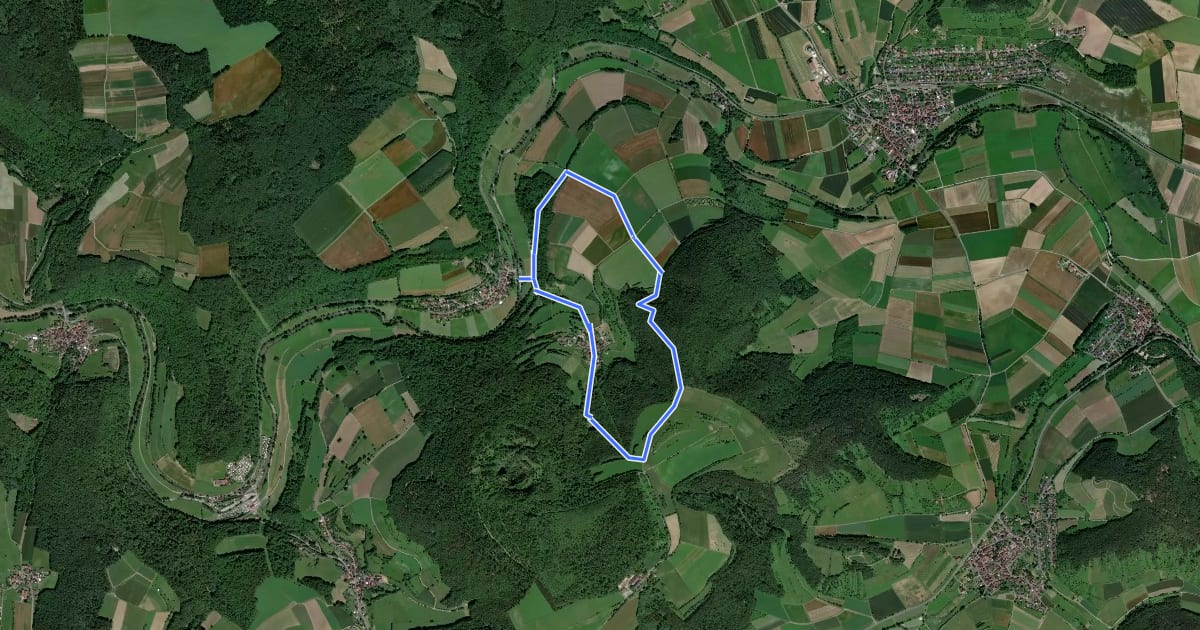Маршрут Rhönrundweg Hammelburg 2 на спутниковом снимке