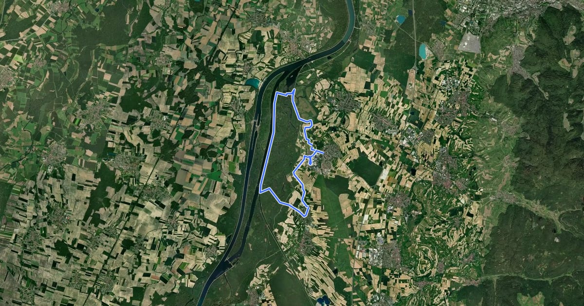 Маршрут Rhein-Route на спутниковом снимке