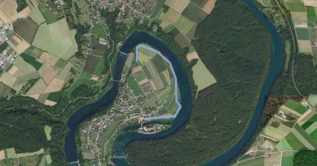 Маршрут Rheinau Kloster - Rheinau Salmen на спутниковом снимке