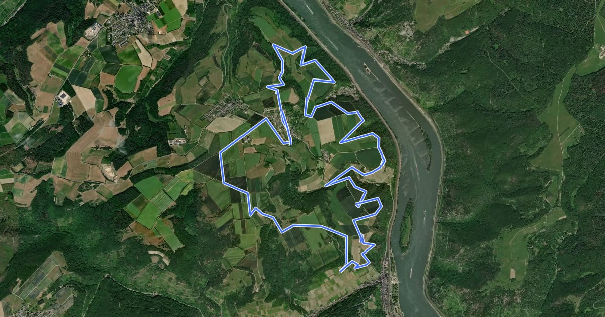 Маршрут Rheinblickschleife (Hahn, blauer Pfeil) на спутниковом снимке