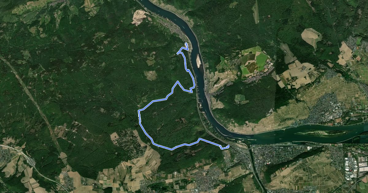 Маршрут Rheinburgenweg 13. Etappe Trechtingshausen - Bingen на спутниковом снимке