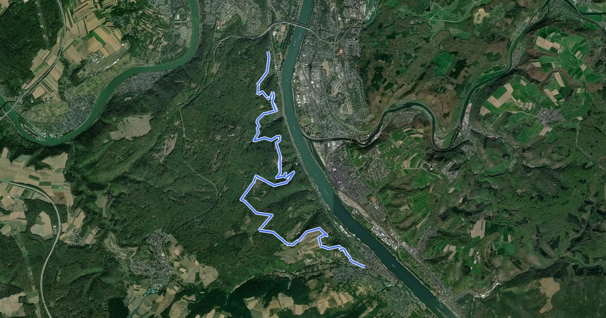 Маршрут Rheinburgenweg 7. Etappe Koblenz - Rhens на спутниковом снимке