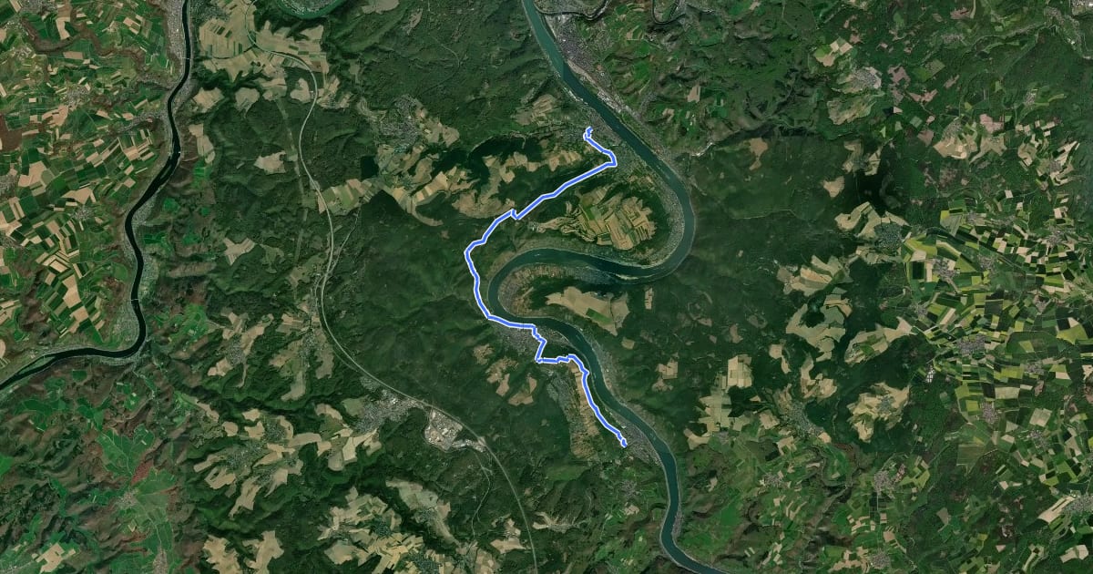 Маршрут Rheinburgenweg 8. Etappe Rhens - Bad Salzig на спутниковом снимке