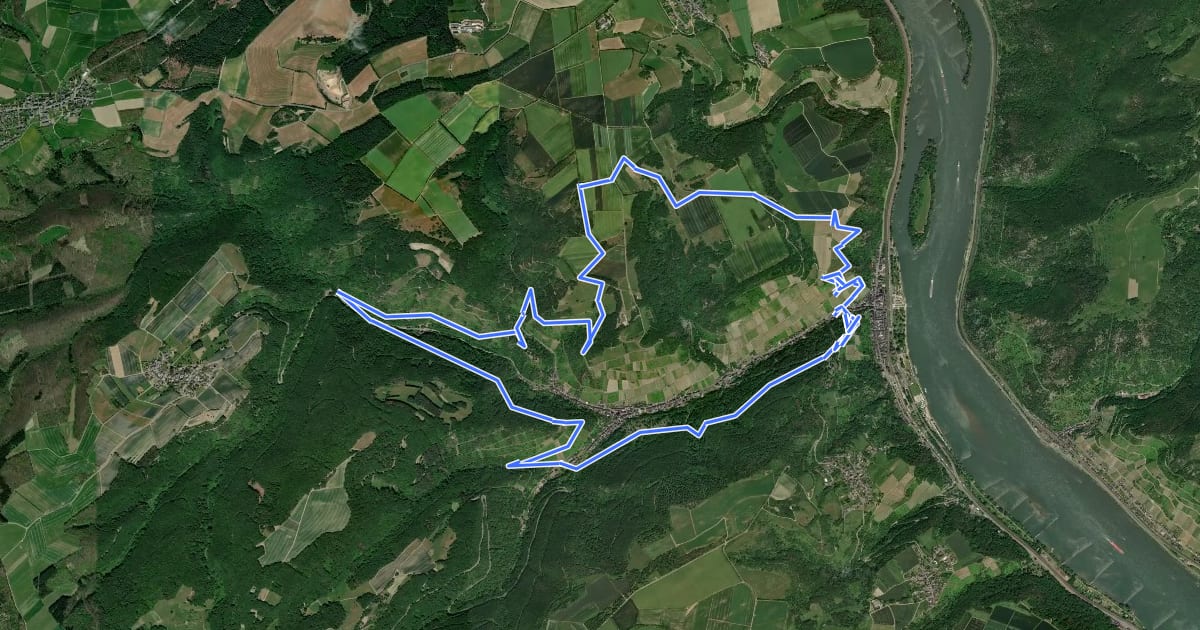 Маршрут RheinBurgenWeg Rundtour - Stahlberg-Schleife на спутниковом снимке