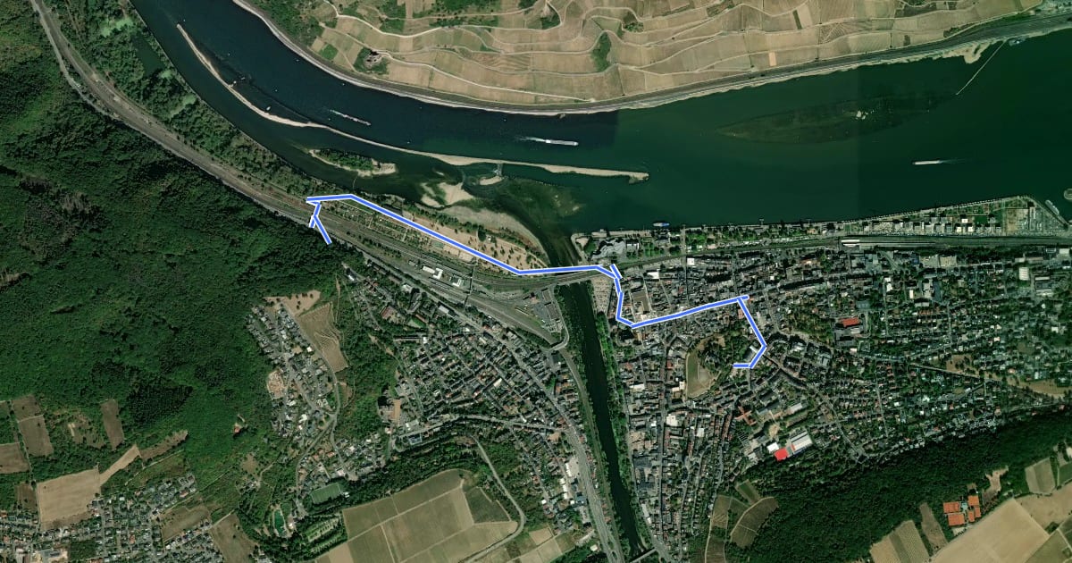 Маршрут Rheinburgenweg Zugangsweg Bingen на спутниковом снимке