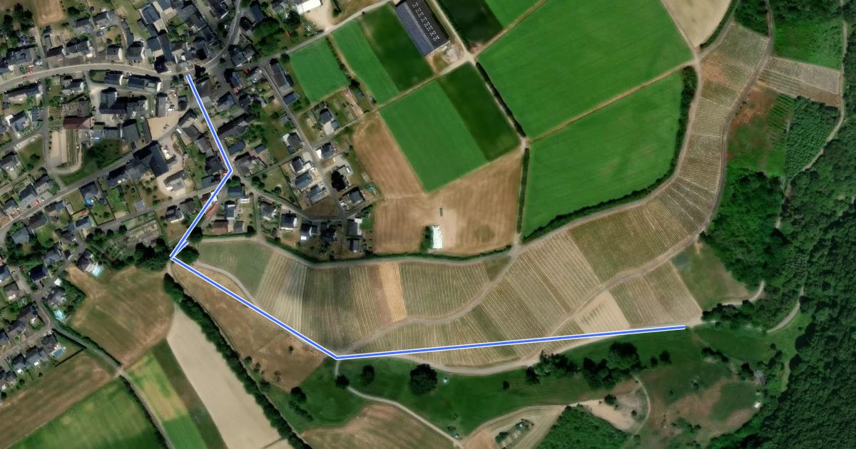 Маршрут Rheinburgenweg Zugangsweg Dellhofen на спутниковом снимке