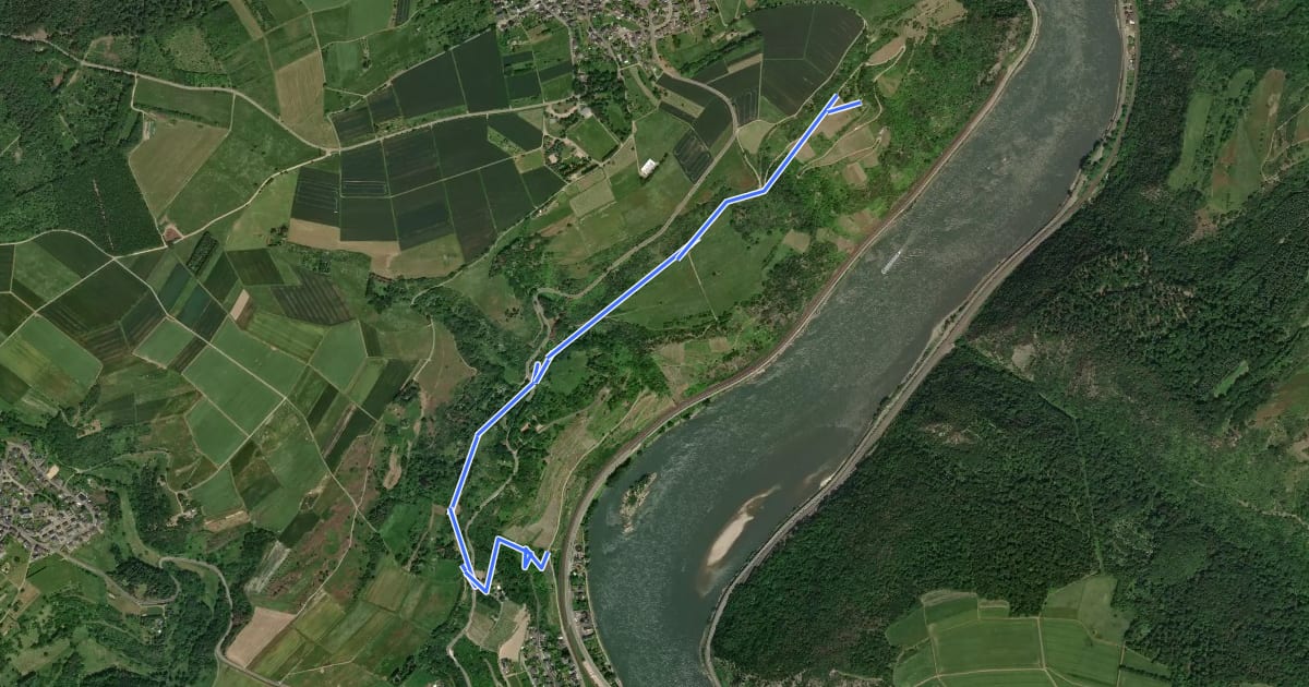 Маршрут Rheinburgenweg Zugangsweg Oberwesel Gründerodehaus на спутниковом снимке