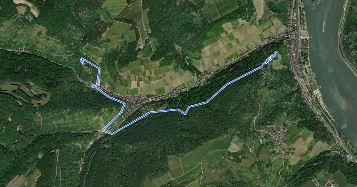 Маршрут Rheinburgenweg Zugangsweg Ruine Stahlberg на спутниковом снимке