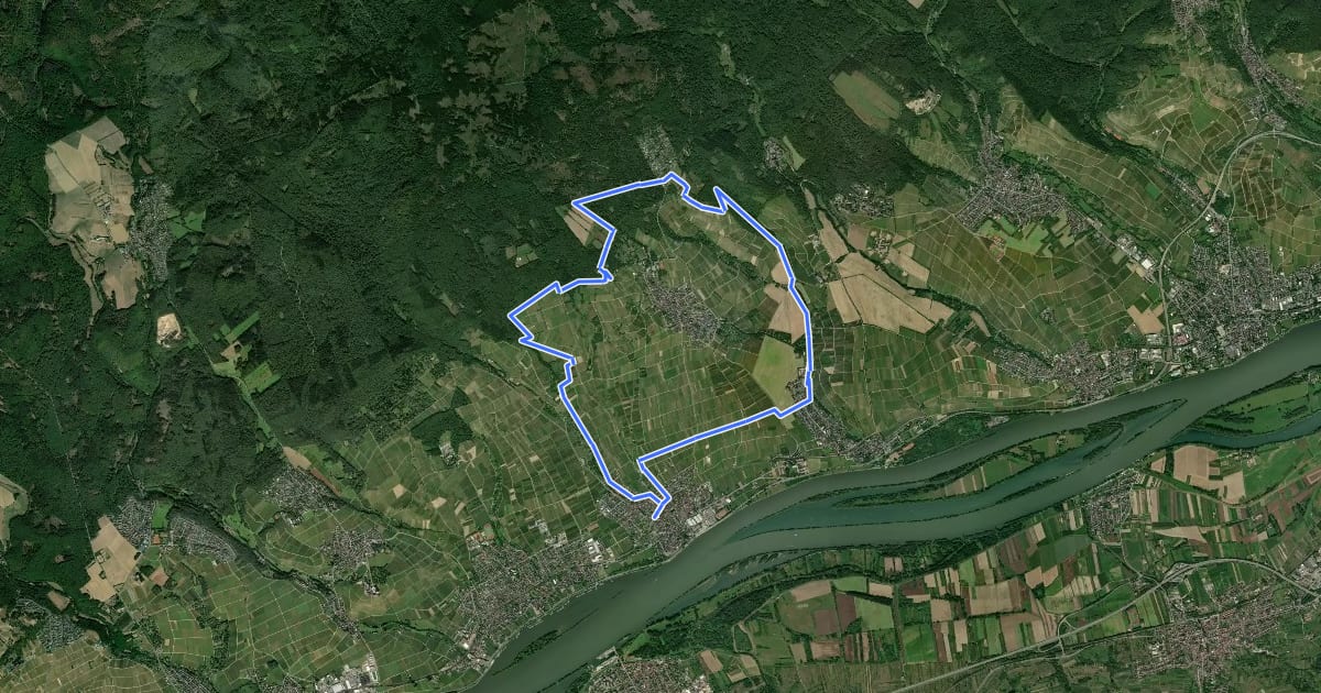 Маршрут Rheingausport Tour Hendelberg на спутниковом снимке