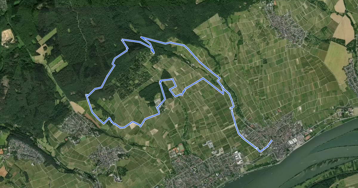Маршрут Rheingausport Tour Honigberg на спутниковом снимке