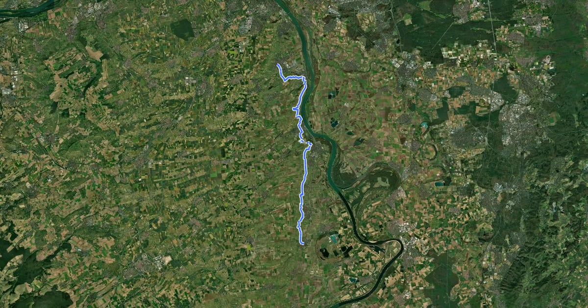 Маршрут Rheinhöhenweg 10. Etappe Bodenheim - Alsheim (lrh.) на спутниковом снимке
