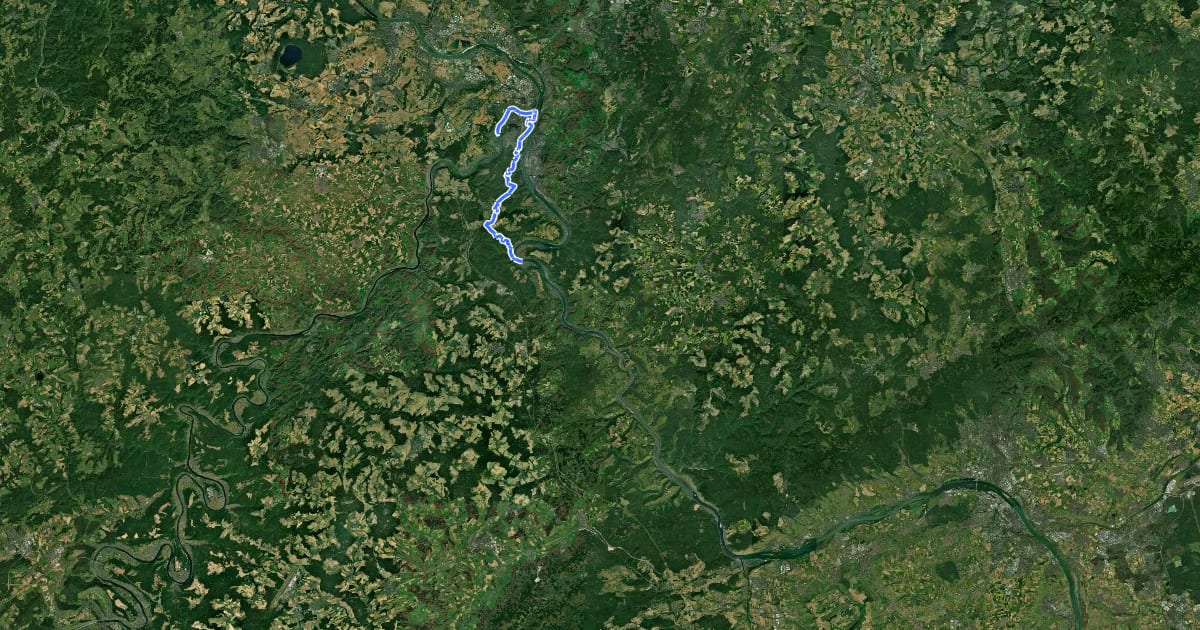 Маршрут Rheinhöhenweg 5. Etappe Koblenz - Boppard (lrh.) на спутниковом снимке