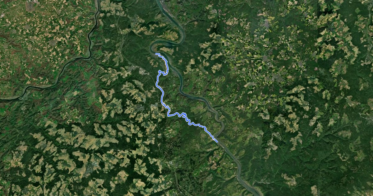 Маршрут Rheinhöhenweg 6. Etappe Boppard - Oberwesel (lrh.) на спутниковом снимке