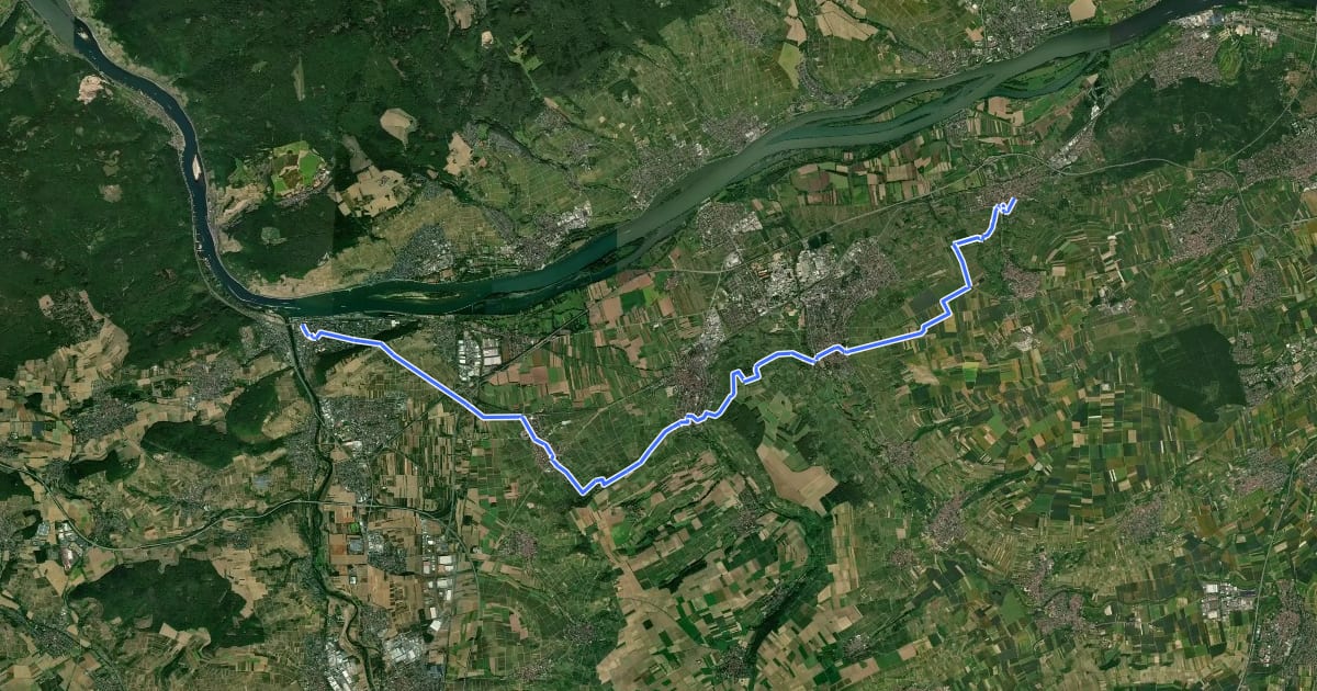 Маршрут Rheinhöhenweg 8. Etappe Bingen - Heidesheim (lrh.) на спутниковом снимке