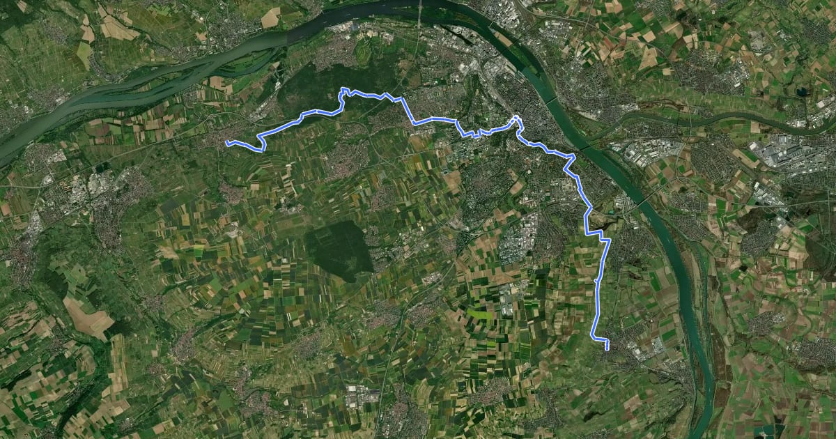 Маршрут Rheinhöhenweg 9. Etappe Heidesheim - Bodenheim (lrh.) на спутниковом снимке