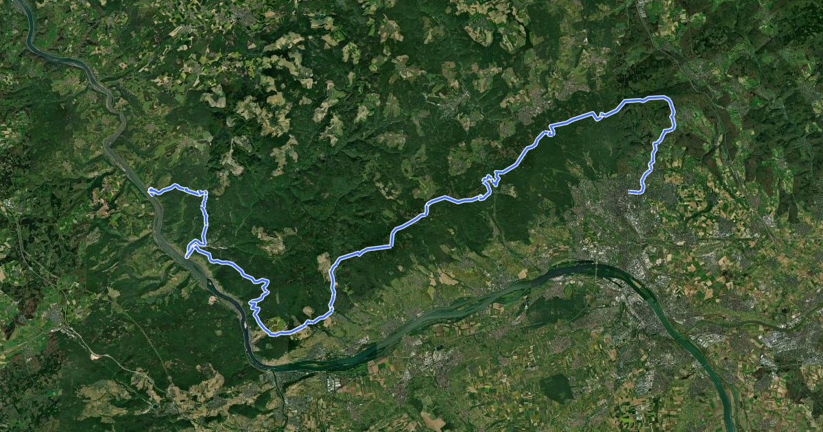 Маршрут Rheinhöhenweg Kaub-Wiesbaden (rrh.-Taunus) на спутниковом снимке