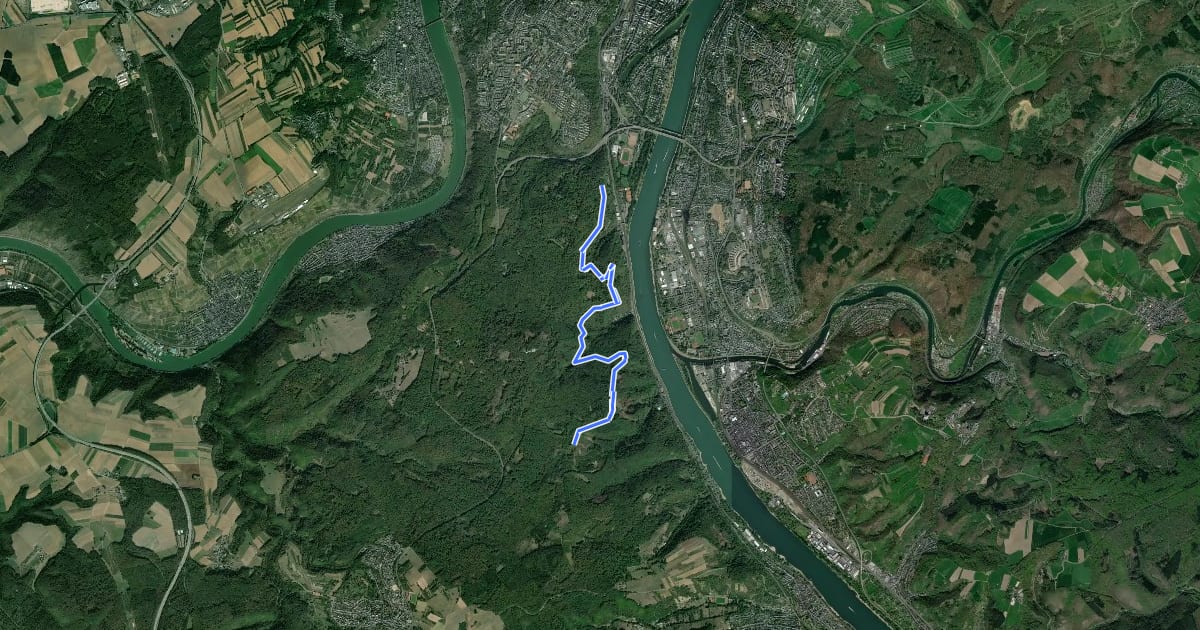 Маршрут Rheinhöhenweg-Verbindungsweg Koblenz [linksrheinisch] на спутниковом снимке