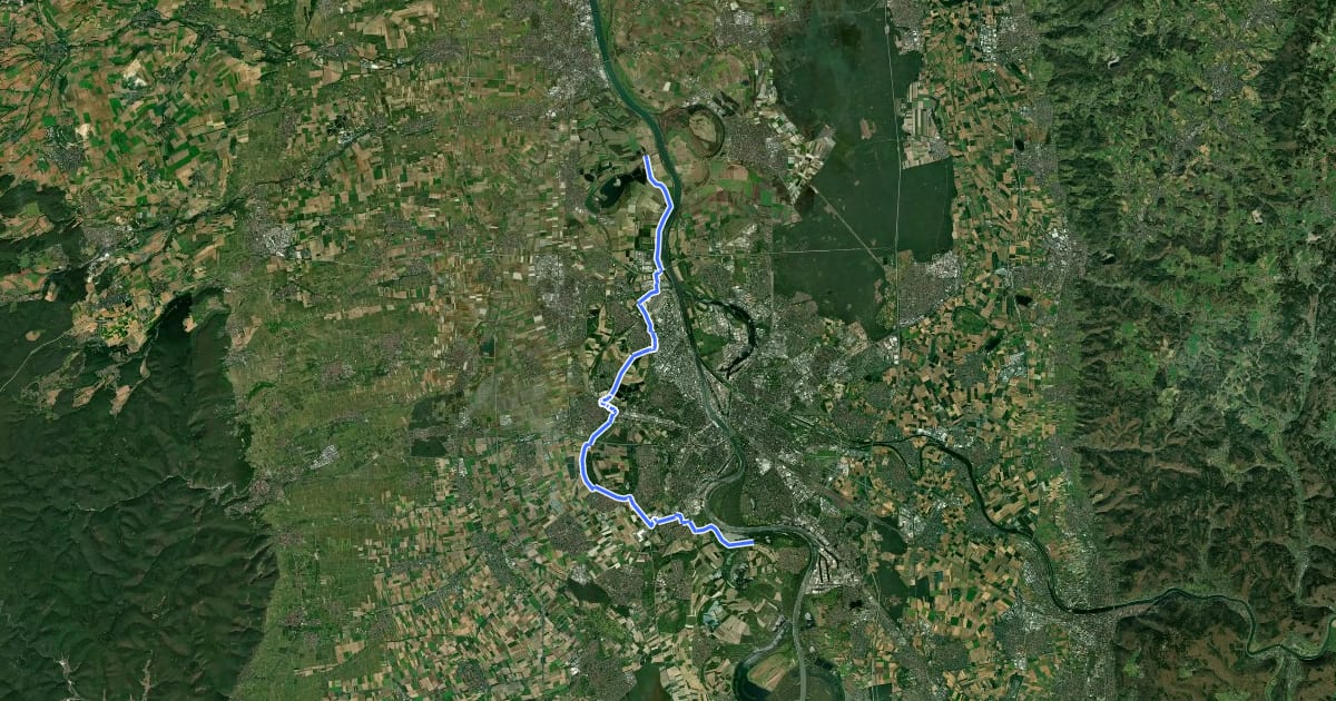 Маршрут Rheinland-Pfalz Radroute (Ludwigshafen) на спутниковом снимке