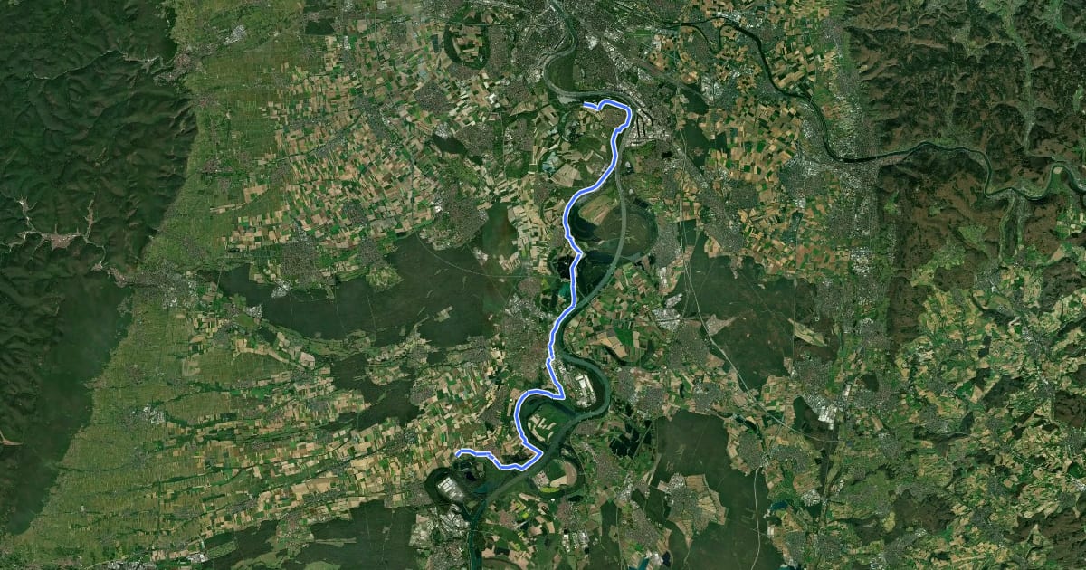 Маршрут Rheinland-Pfalz Radroute (Rhein-Pfalz-Kreis) на спутниковом снимке