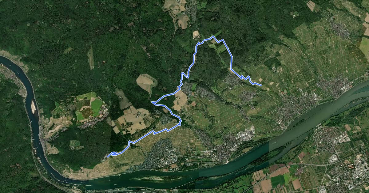 Маршрут Rheinsteig Etappe 18 [Rüdesheim - Johannisberg] на спутниковом снимке