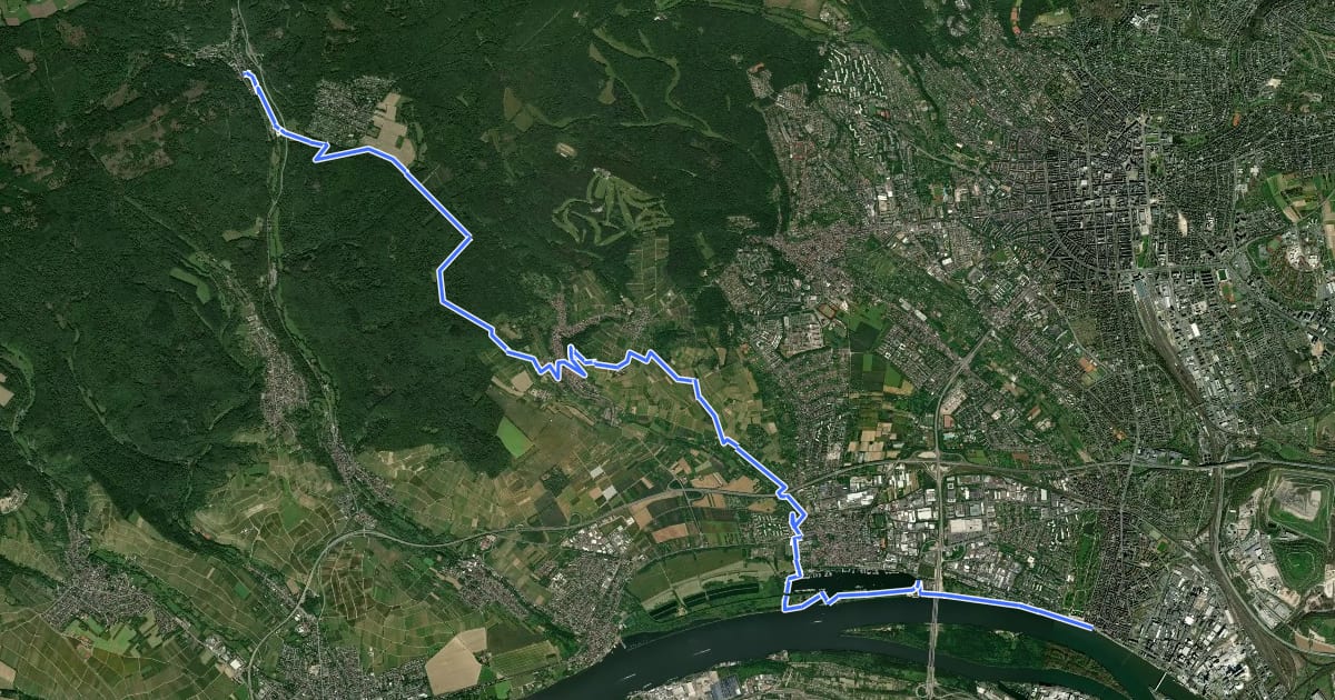 Маршрут Rheinsteig Etappe 21 [Schlangenbad - Wiesbaden-Biebrich] на спутниковом снимке
