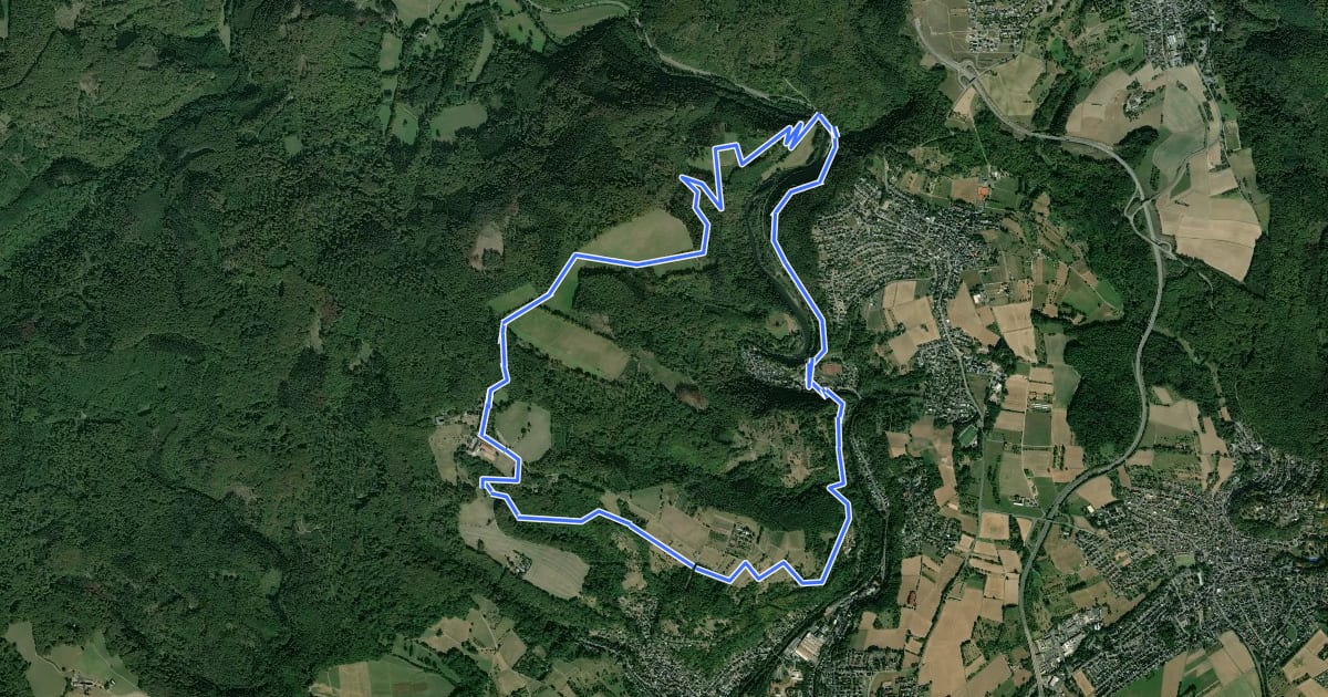 Маршрут Rheinsteig-Rundtour Fürstenweg на спутниковом снимке