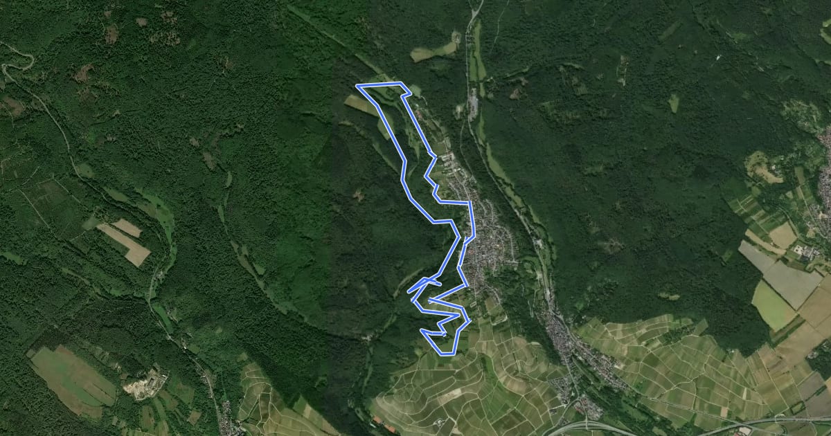 Маршрут Rheinsteig Rundtour: Rauenthaler Spange на спутниковом снимке
