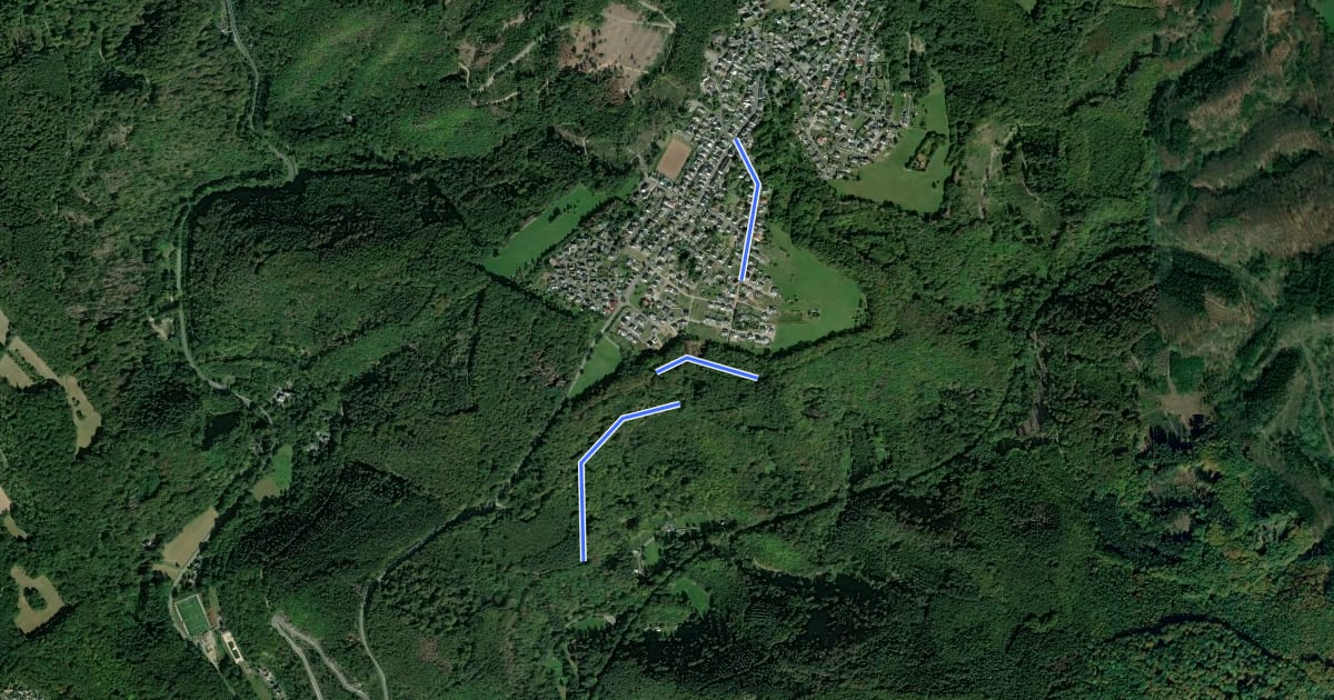 Маршрут Rheinsteig-Zuweg Bendorf-Stromberg на спутниковом снимке