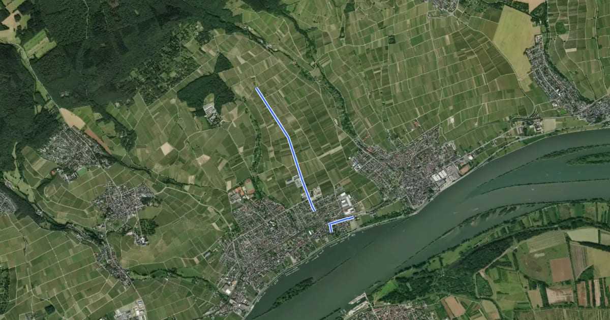 Маршрут Rheinsteig-Zuweg Mittelheim на спутниковом снимке