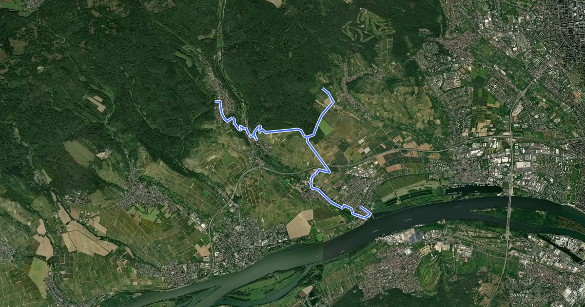 Маршрут Rheinsteig-Zuweg Niederwalluf (West) на спутниковом снимке