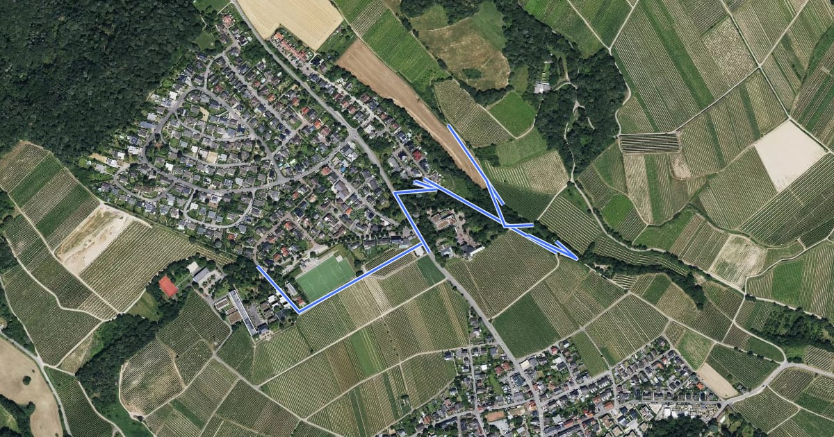 Маршрут Rheinsteig-Zuweg Schloßheide на спутниковом снимке