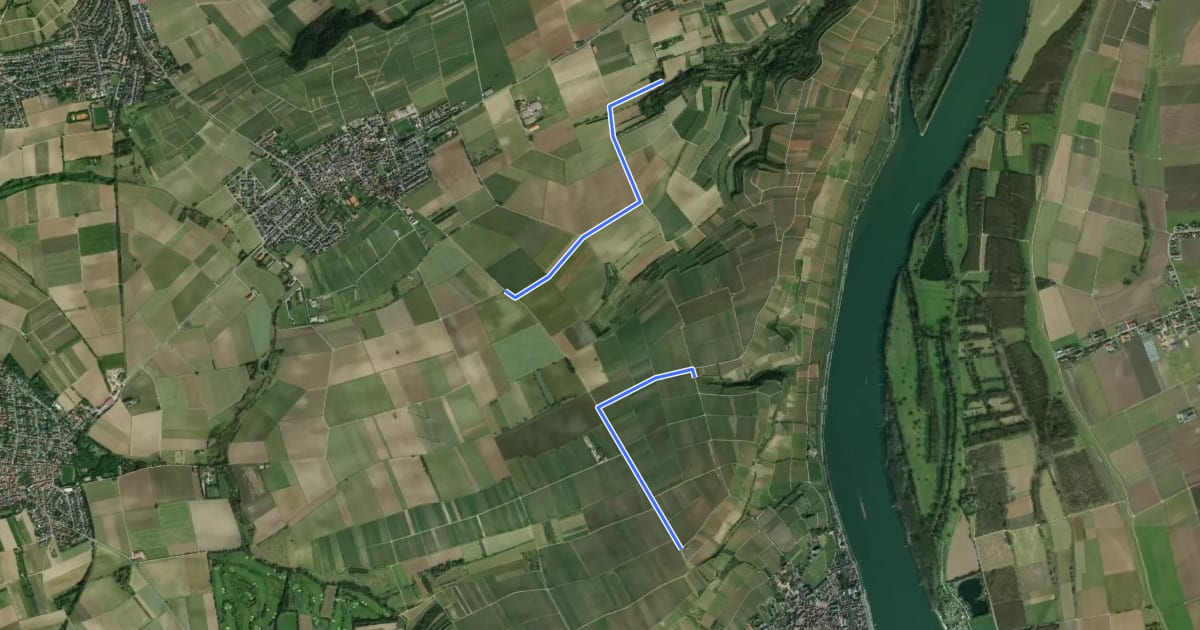 Маршрут Rheinterrassenweg Zuweg Königstuhl на спутниковом снимке