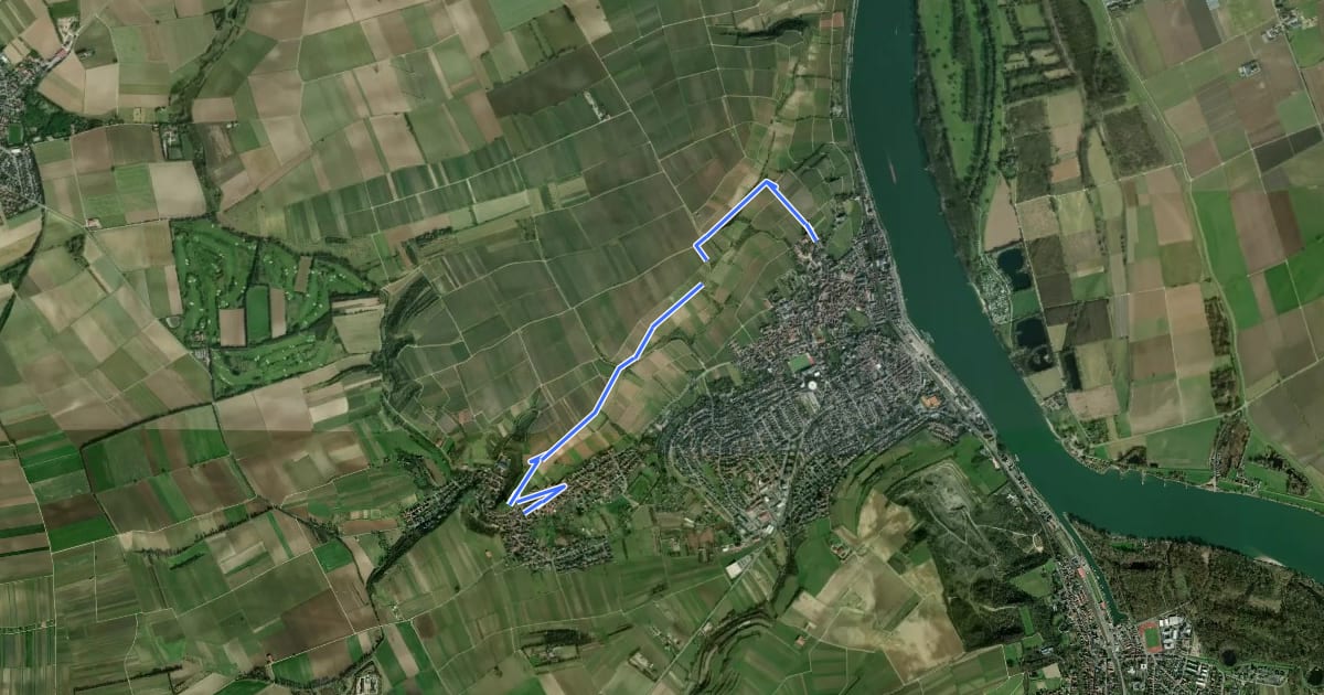 Маршрут Rheinterrassenweg Zuweg Schwabsburg на спутниковом снимке