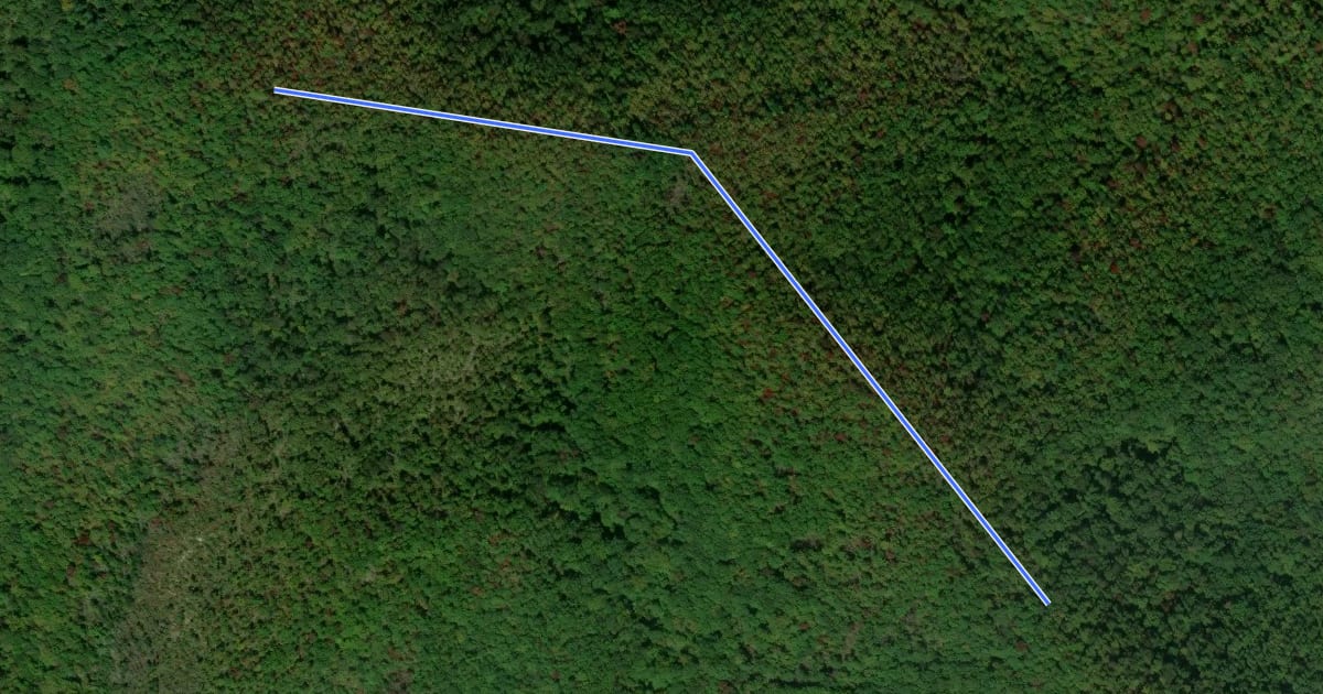 Маршрут Rhododendron Ridge Trail на спутниковом снимке