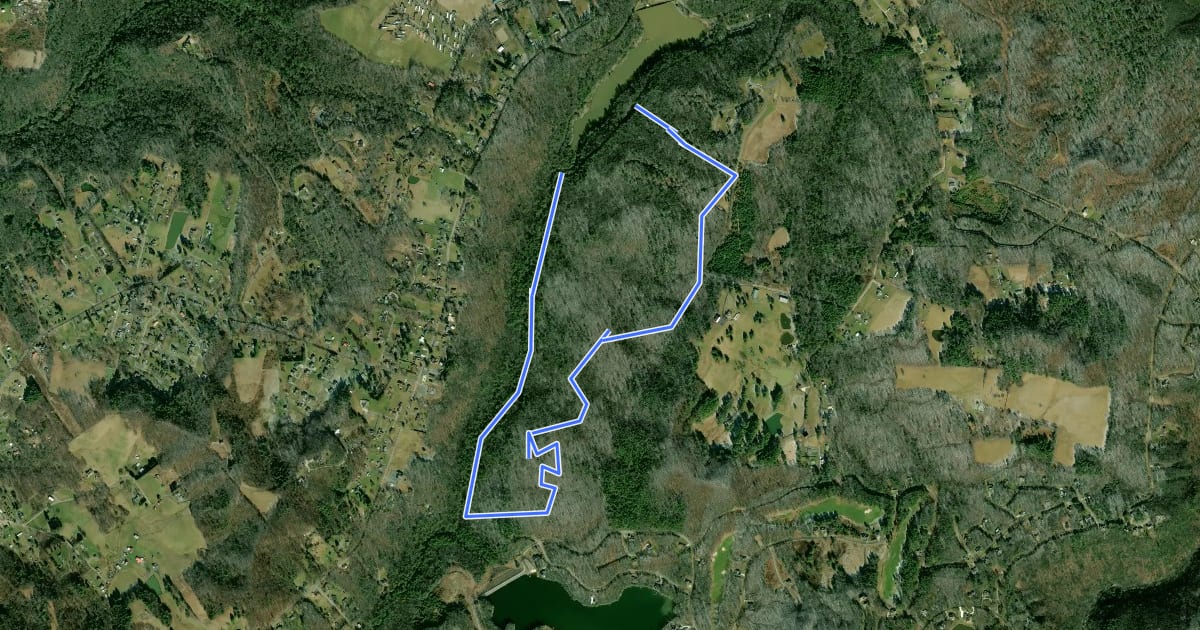 Маршрут Rhododendron Run Trail на спутниковом снимке